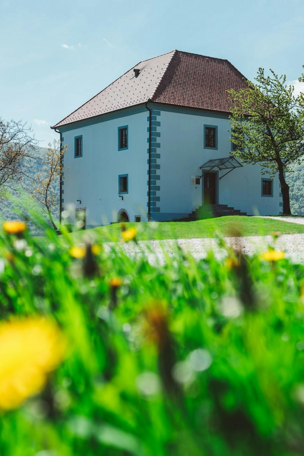 Vinogradniški dvorec